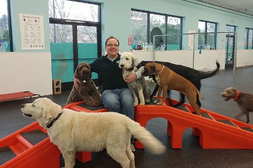 Dog Play Day Care Vancouver Dog Play Day Care Vancouver