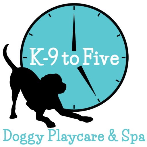 playcare pets