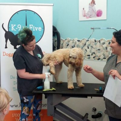 Doodle Grooming Class K9toFive_7