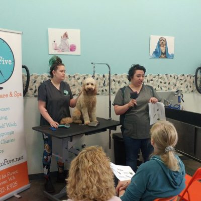 Doodle Grooming Class K9toFive_9