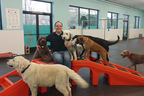 Dog Daycare_K9 to Five_Vancouver Washington_2