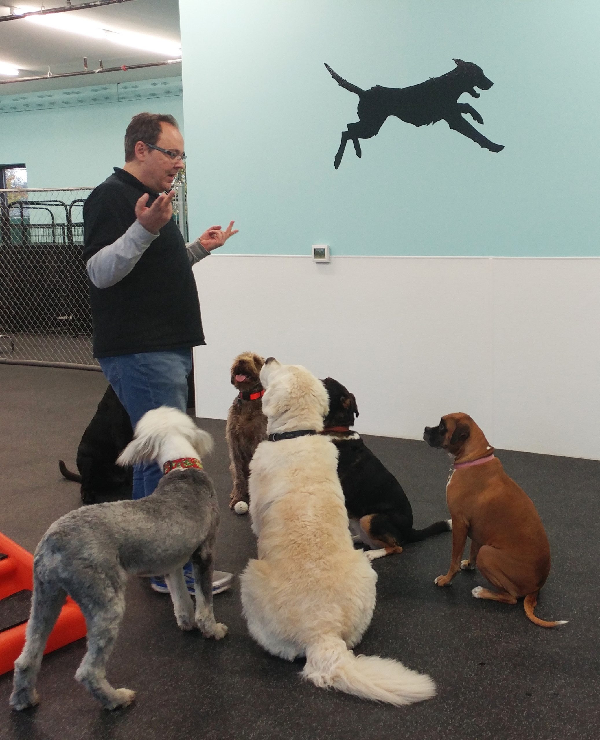 Marc lecturing the pups