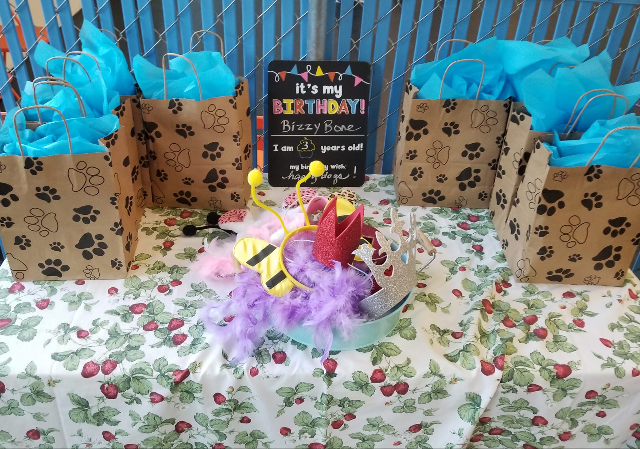 K-9 to Five Doggy Birthday Party_vancouver washington