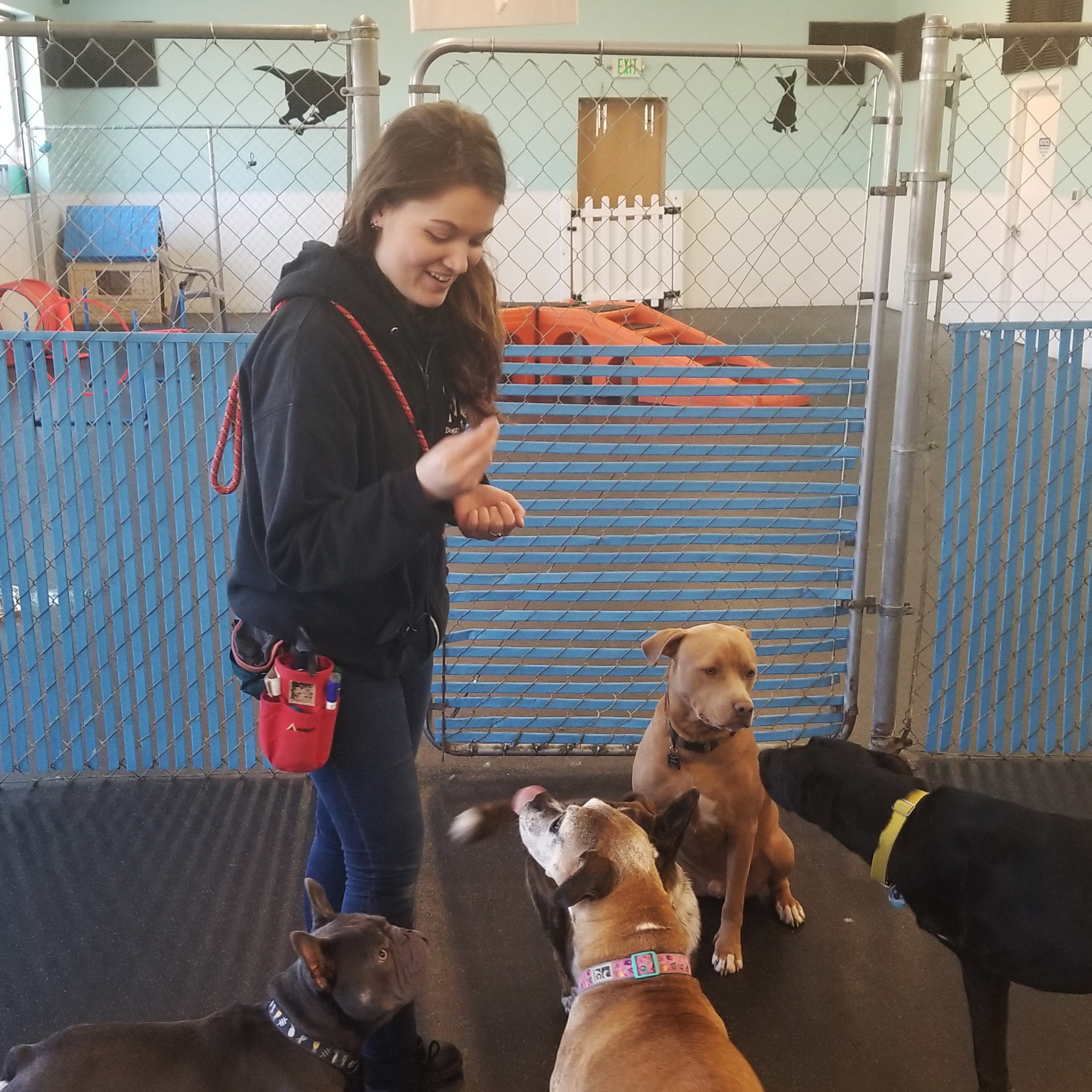 Bella
Daycare and Training