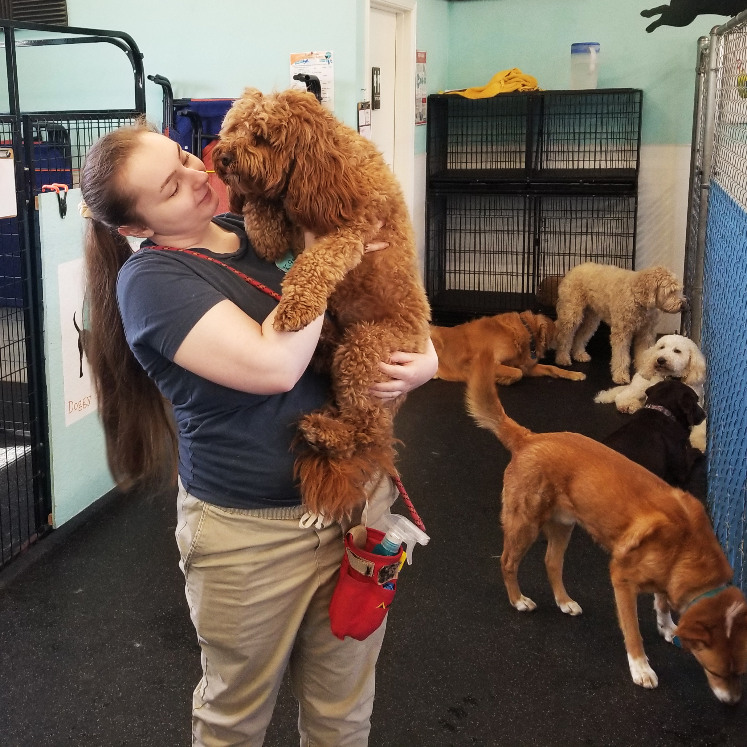 Lilly
Daycare and Grooming