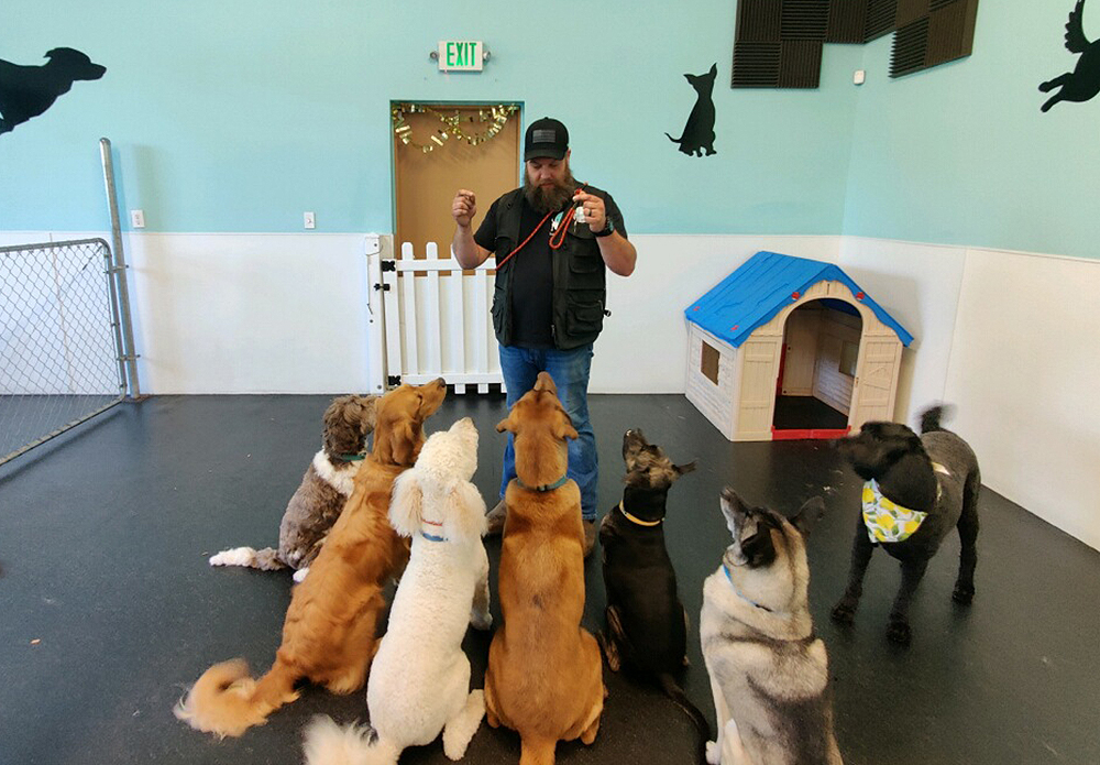 Josh_Dog Training K9 to Five Vancouver Washington_1 Josh_Dog Training K9 to Five Vancouver Washington_1